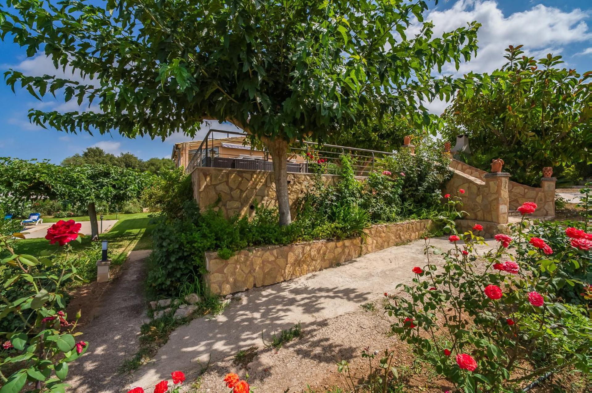 Ideal Property Mallorca - Sementaret Guest House Arta Exterior photo